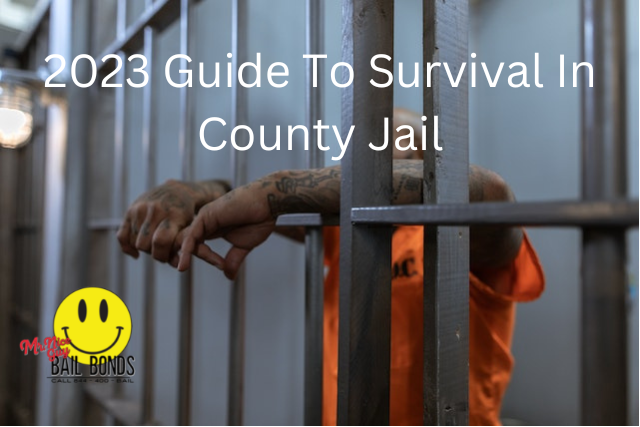 2023 Guide To Survival In County Jail