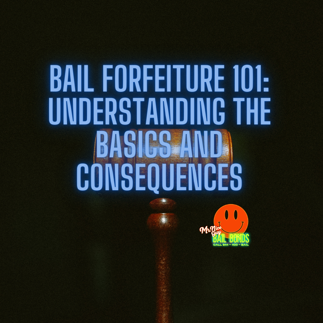 Bail Forfeiture 101: Understanding the Basics and Consequences